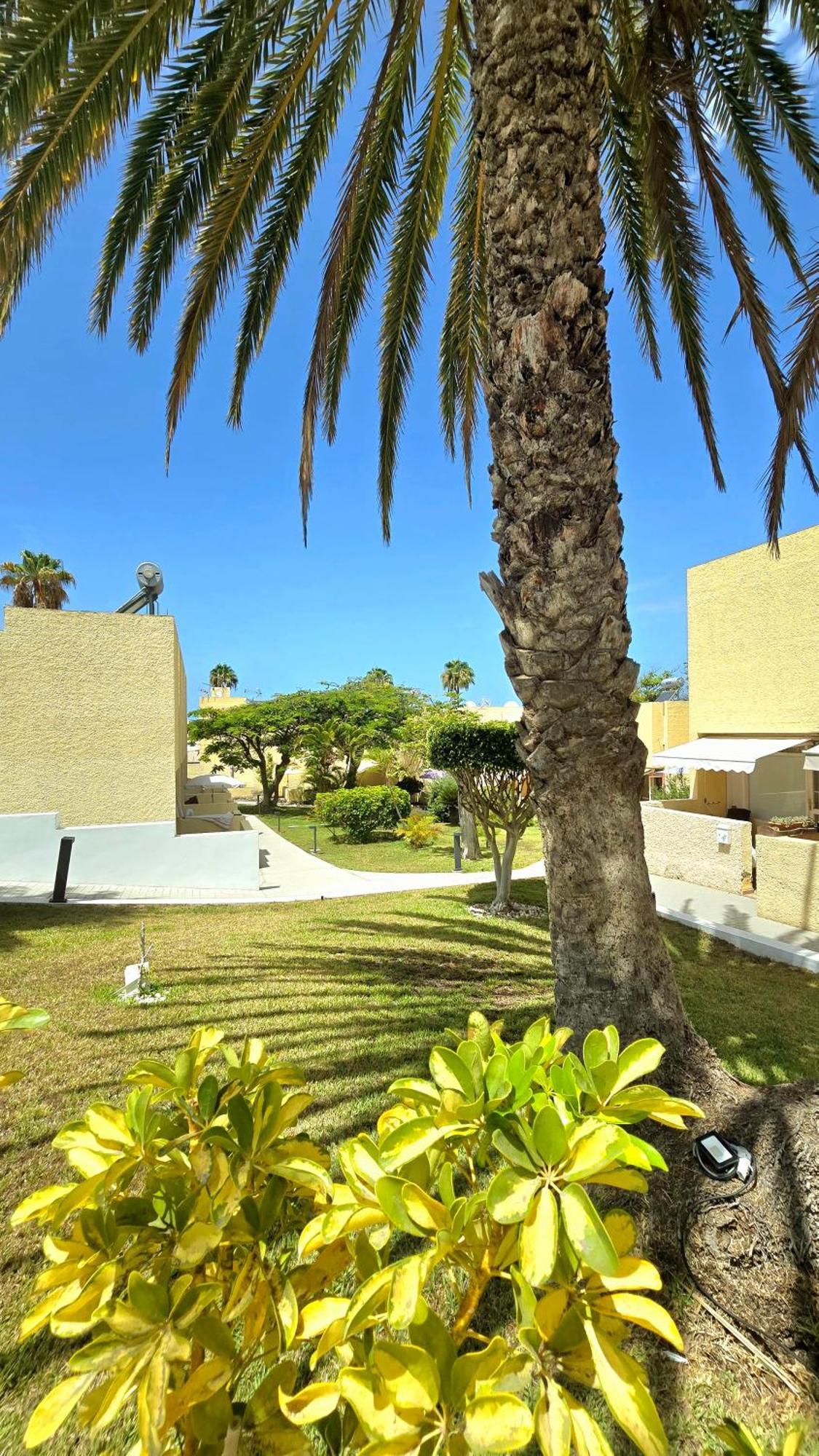 Dream Holiday Las Americas Playa de las Americas  Exterior photo